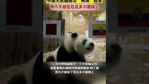 [NBA]哈利橄榄场上展露非凡天赋