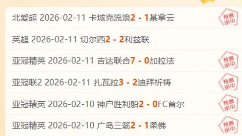 [NBA]魔术队多点开花逆转鹈鹕