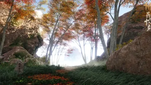 马卡报：皇马审查卡马文加奥运资格，亨利持续关注